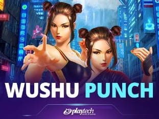 Wushu Punch™ screenshot
